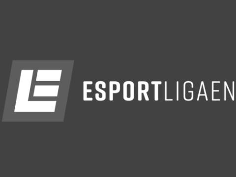 Supporting partner Gamebox: gamingevent i Danmark